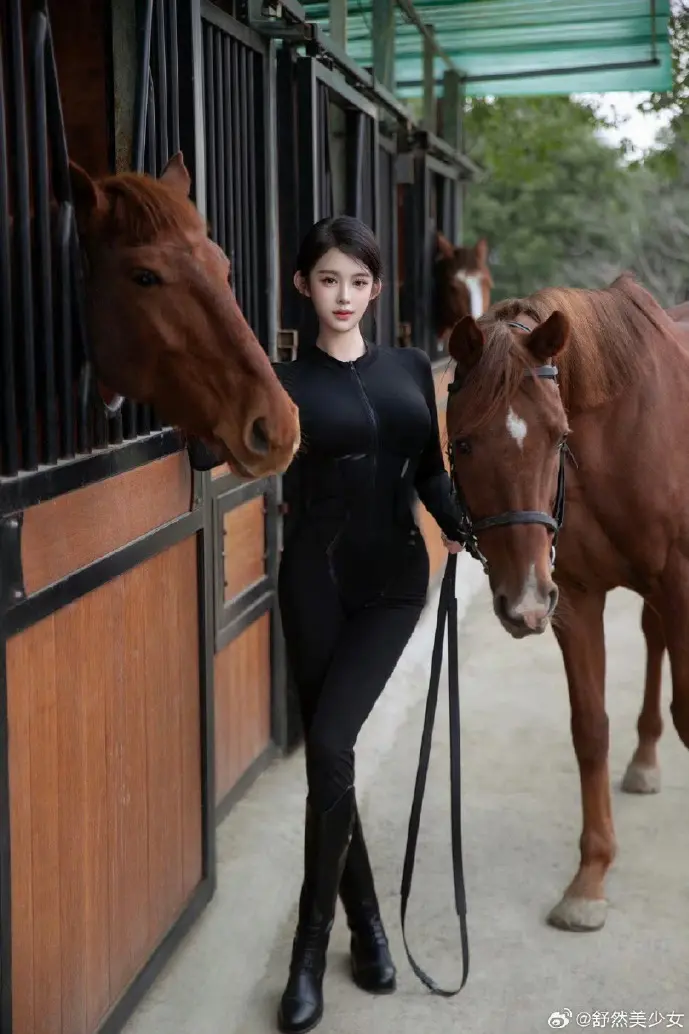 我要复仇下载攻击流程图