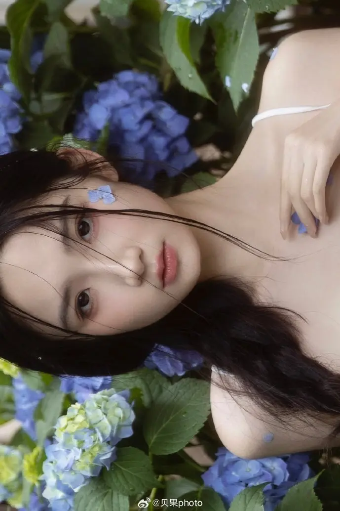 全唐诗数字可视化图谱